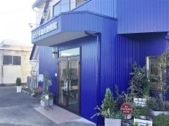 はろうず鍼灸整骨院
