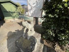 仙狐稲荷神社