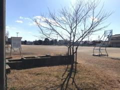 大淀小学校