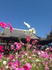 般若寺