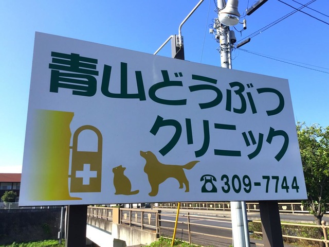 投稿写真8