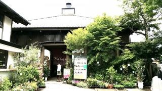 ねんりん