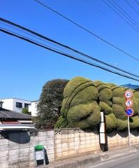 「大平公園入口」バス停留所