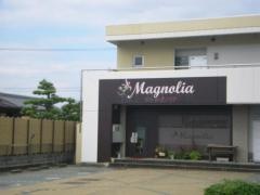 マグノリア