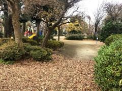 布多公園