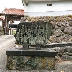 善福寺さつき庭園