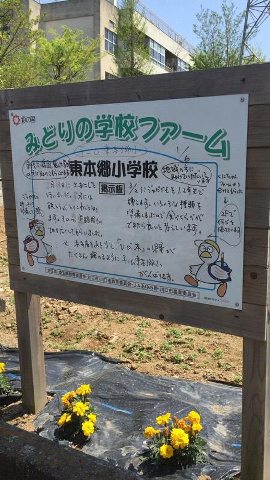 川口 市立 東 本郷 小学校