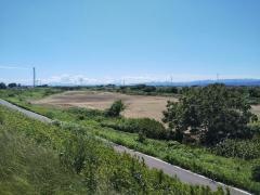 寺山緑地