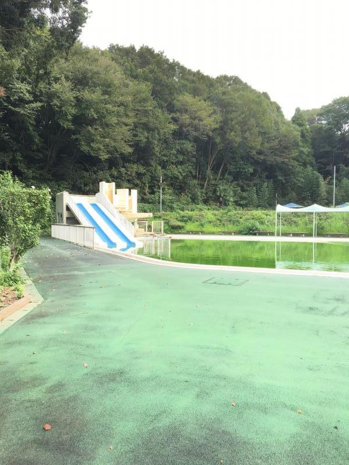 上座 総合 公園