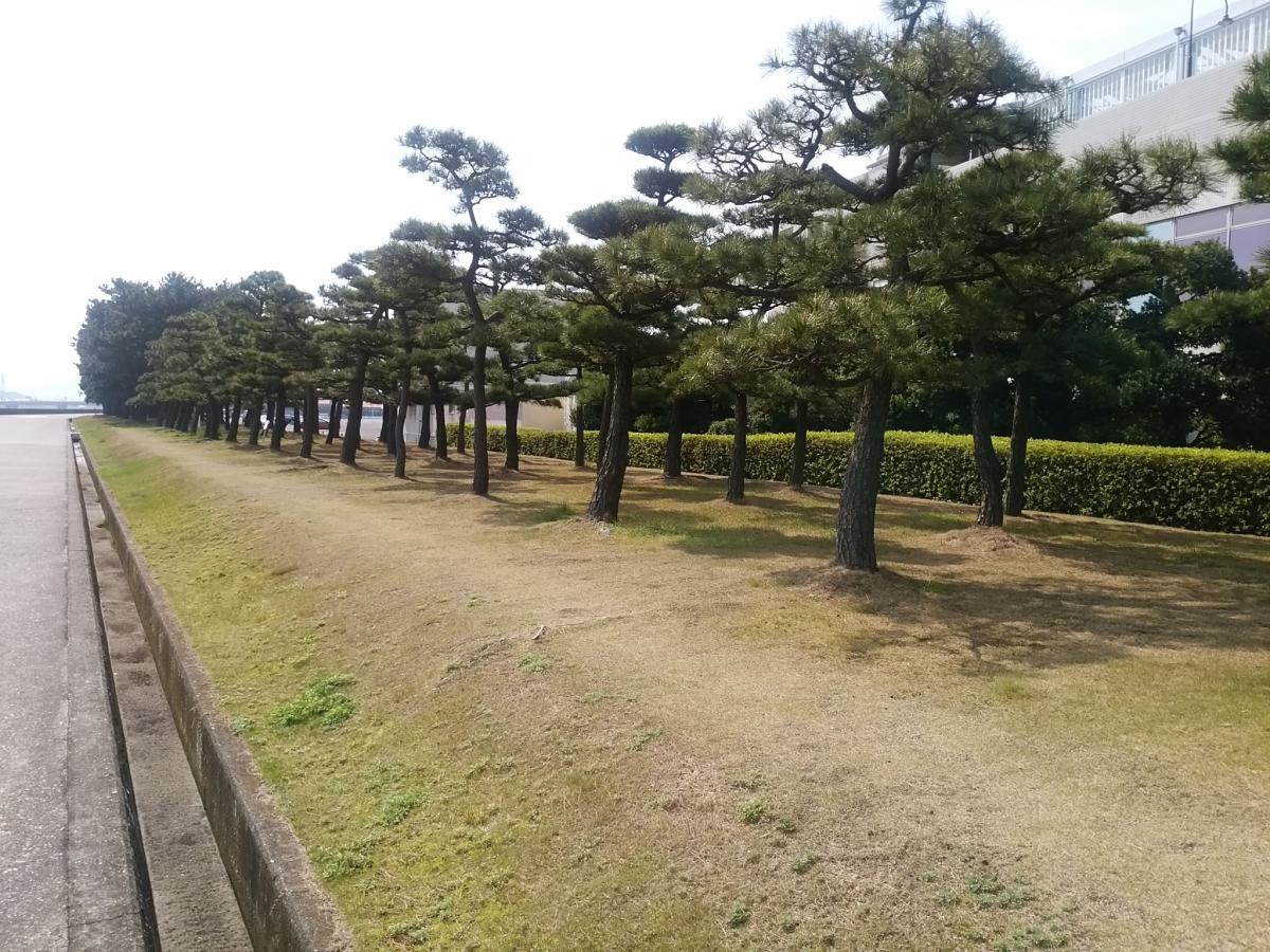 風景