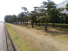 富士見町緑地