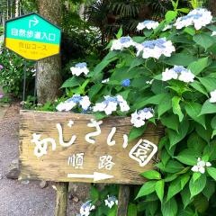 千光寺