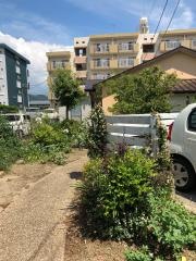 花もも