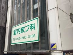 宮内皮フ科