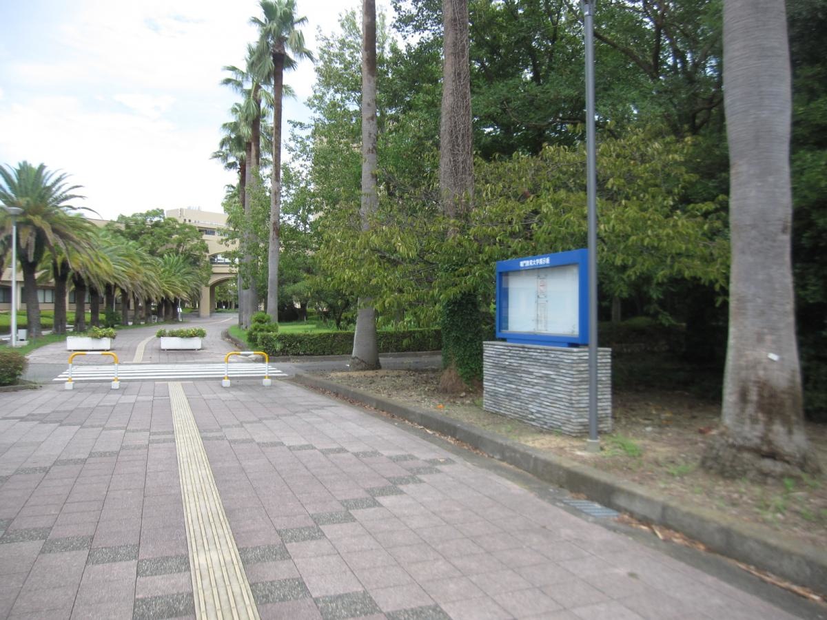 鳴門教育大学附属図書館