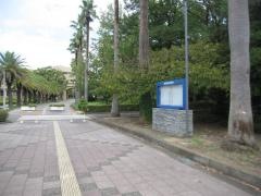 鳴門教育大学附属図書館