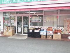 ローソンストア100　豊橋藤沢町店