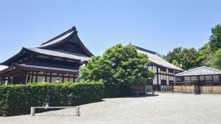 五百羅漢天寧寺