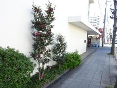 きのみむすび保育園
