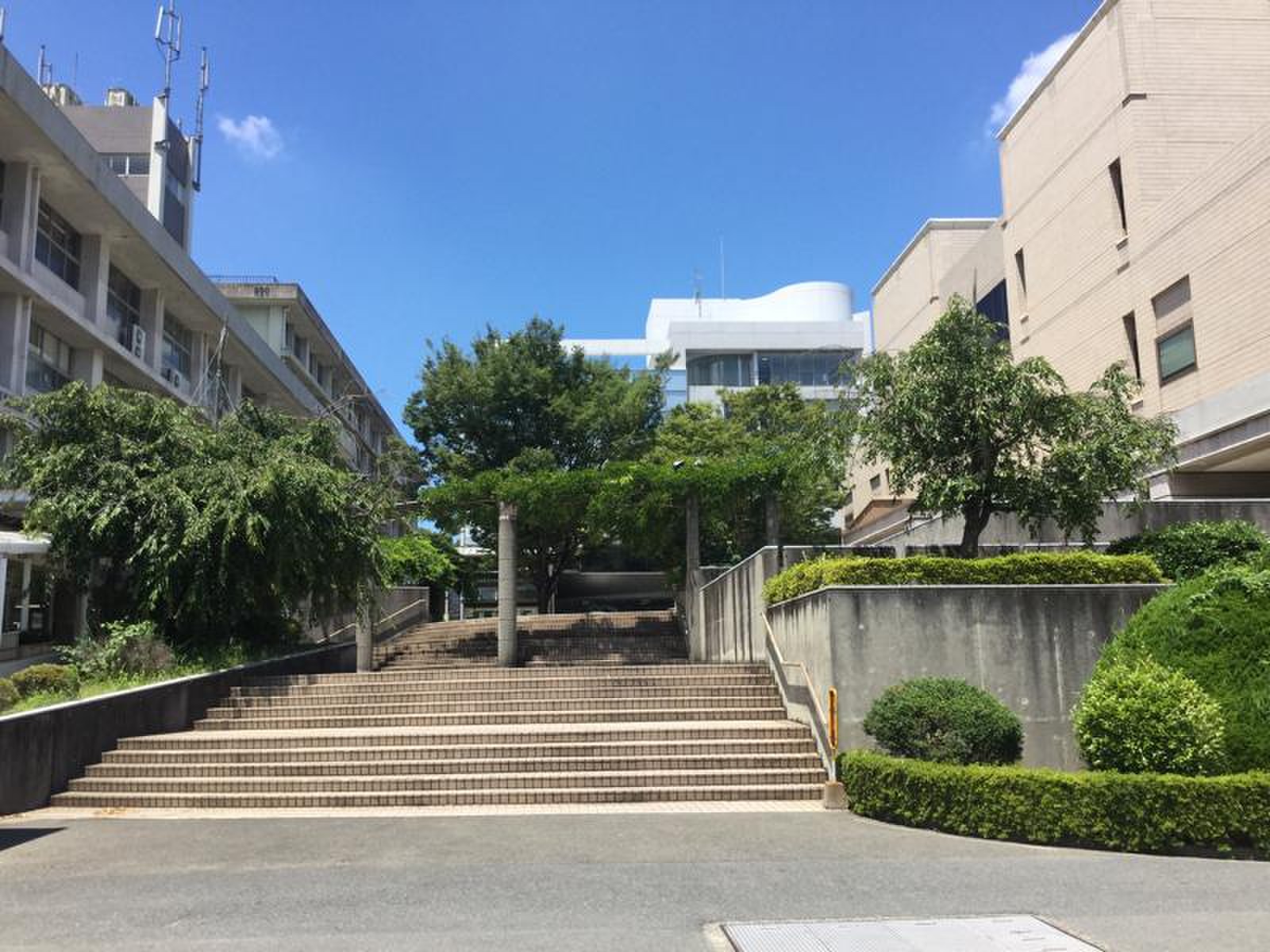 公の場での発言・インタビュー報道記録