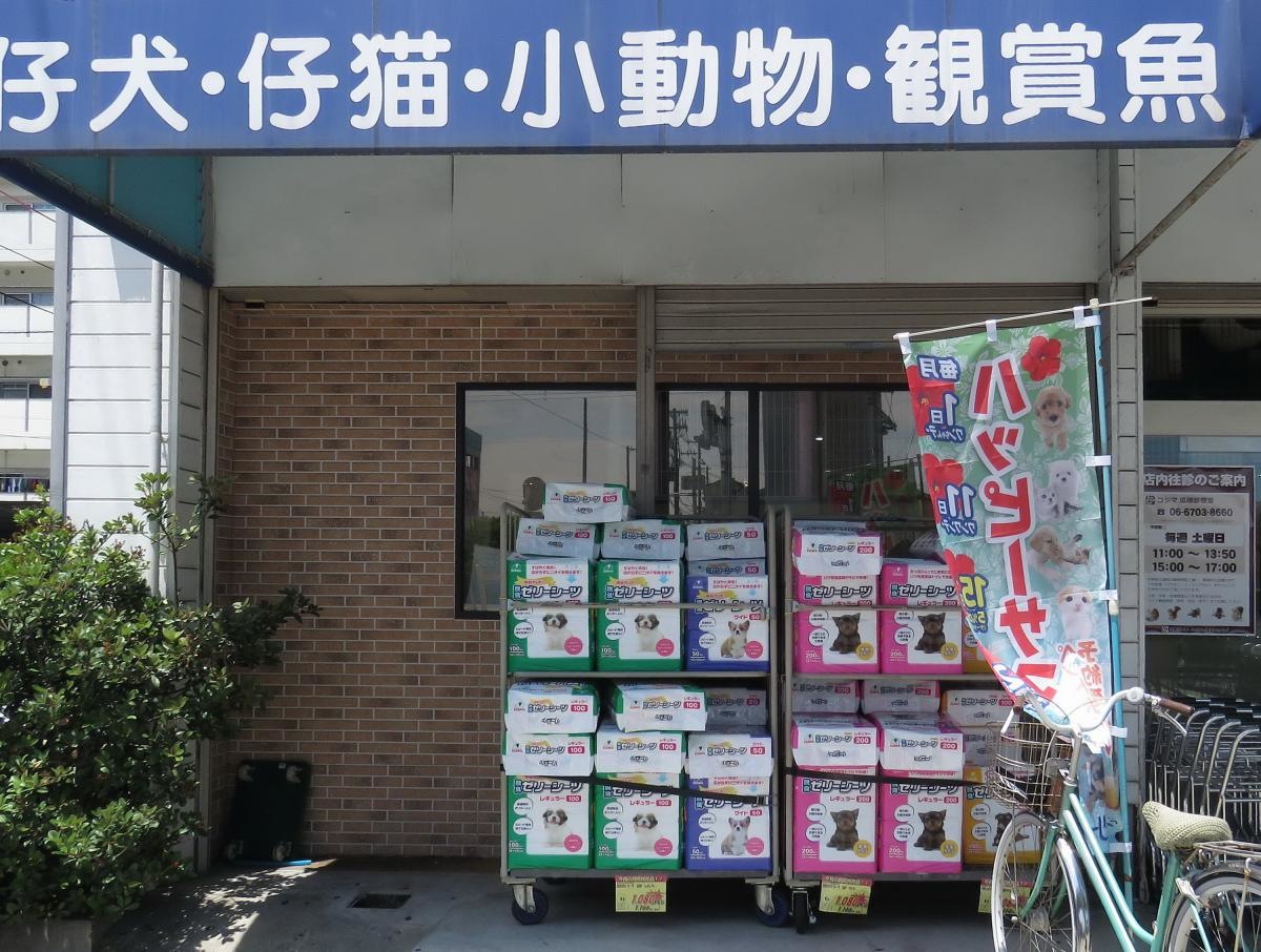 店頭