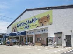 ひごペットフレンドリー瓜破店