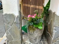 大鮨