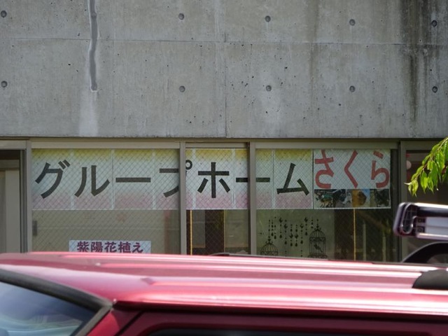 さくら
