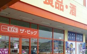ザ・ビッグ　熊本南店