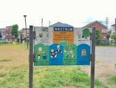 松本2丁目緑道