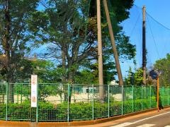大橋小学校