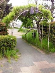 第4号引地川緑地