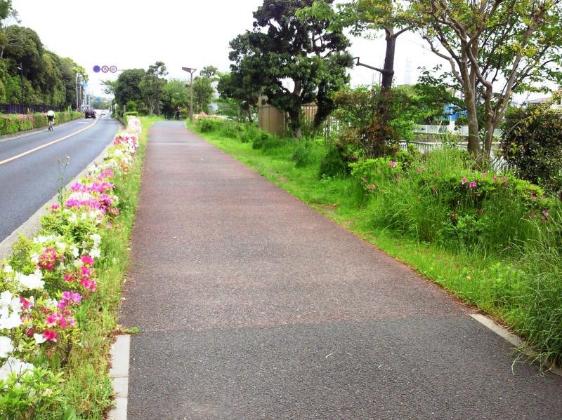 第4号引地川緑地-外観②