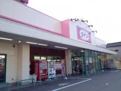 ザ・ダイソー　松任徳丸店