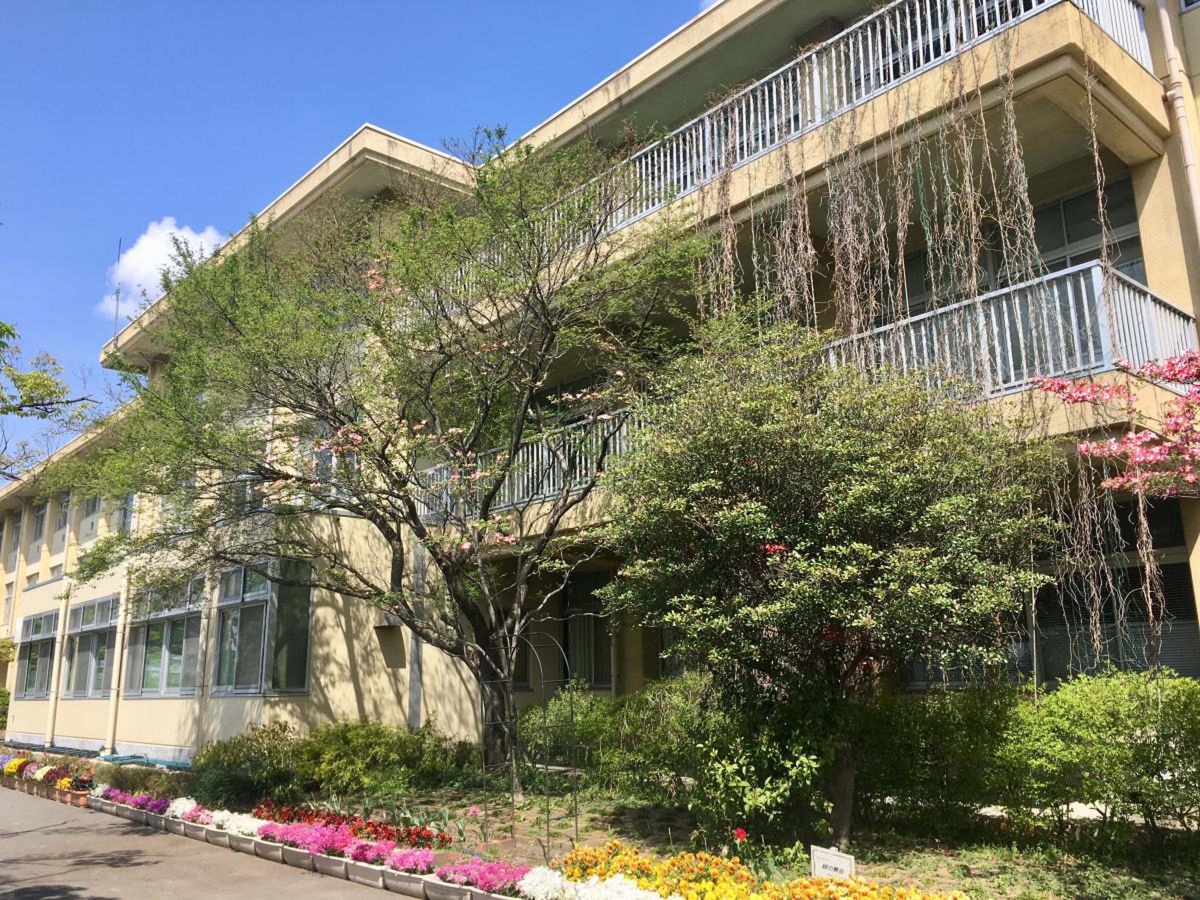 刈谷 市立 雁が音 中学校