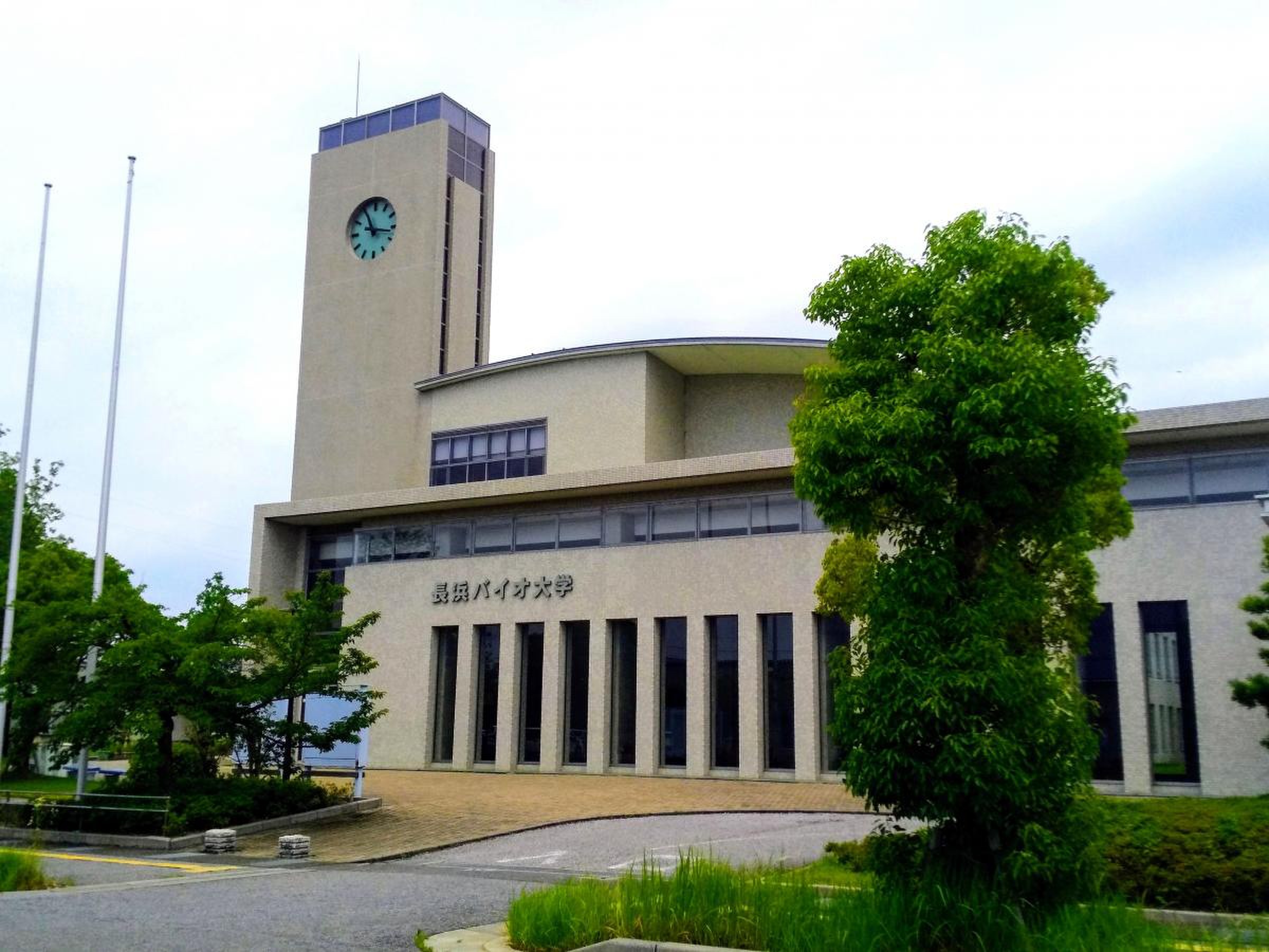 長浜 バイオ 大学
