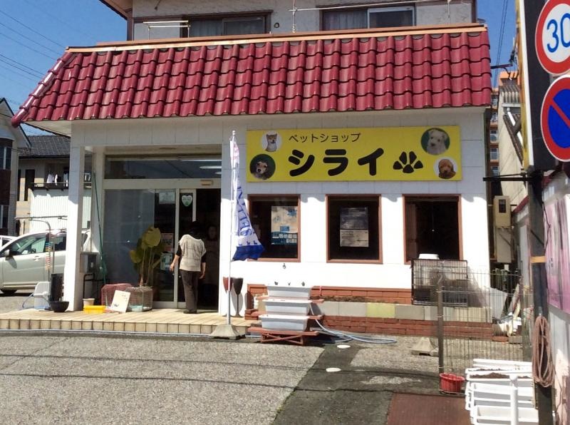 ペットショップ
