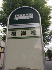 「根岸橋」バス停留所