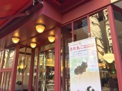 カフェ・ベローチェ　新御茶ノ水店