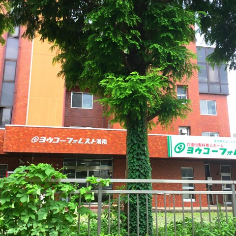 ヨウコーフォレスト湘南 風景