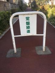 常盤緑道