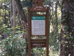 市民の森