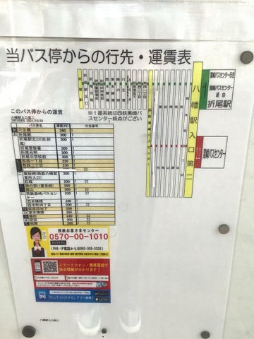 投稿写真1