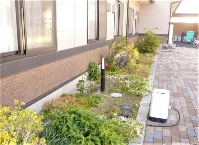 介護付有料老人ホーム　みどりの家