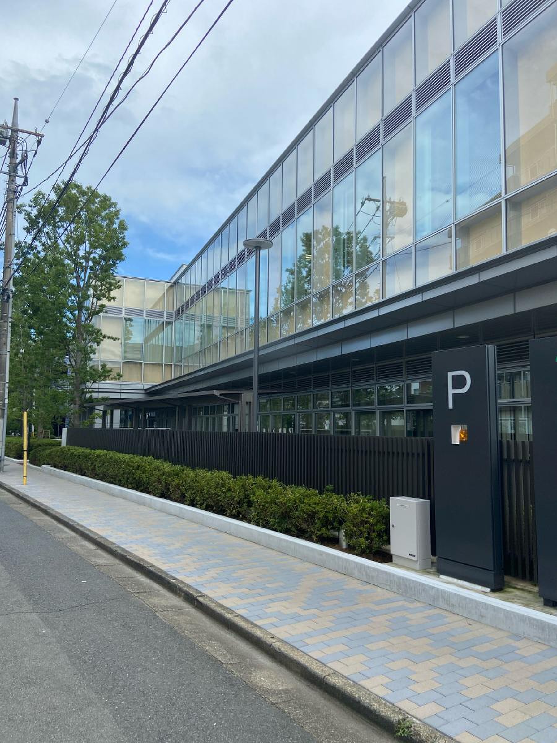 公の場での発言・インタビュー報道記録