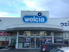 ウエルシア　新潟寺尾店