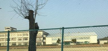 伊賀市立大山田中学校