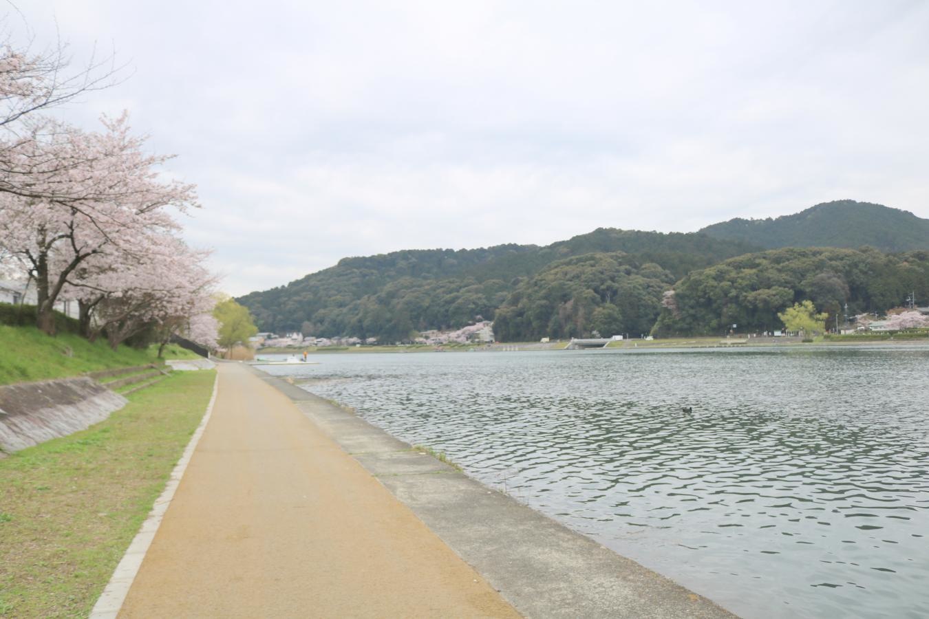 瀬田川緑地