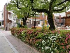 篠山保育園