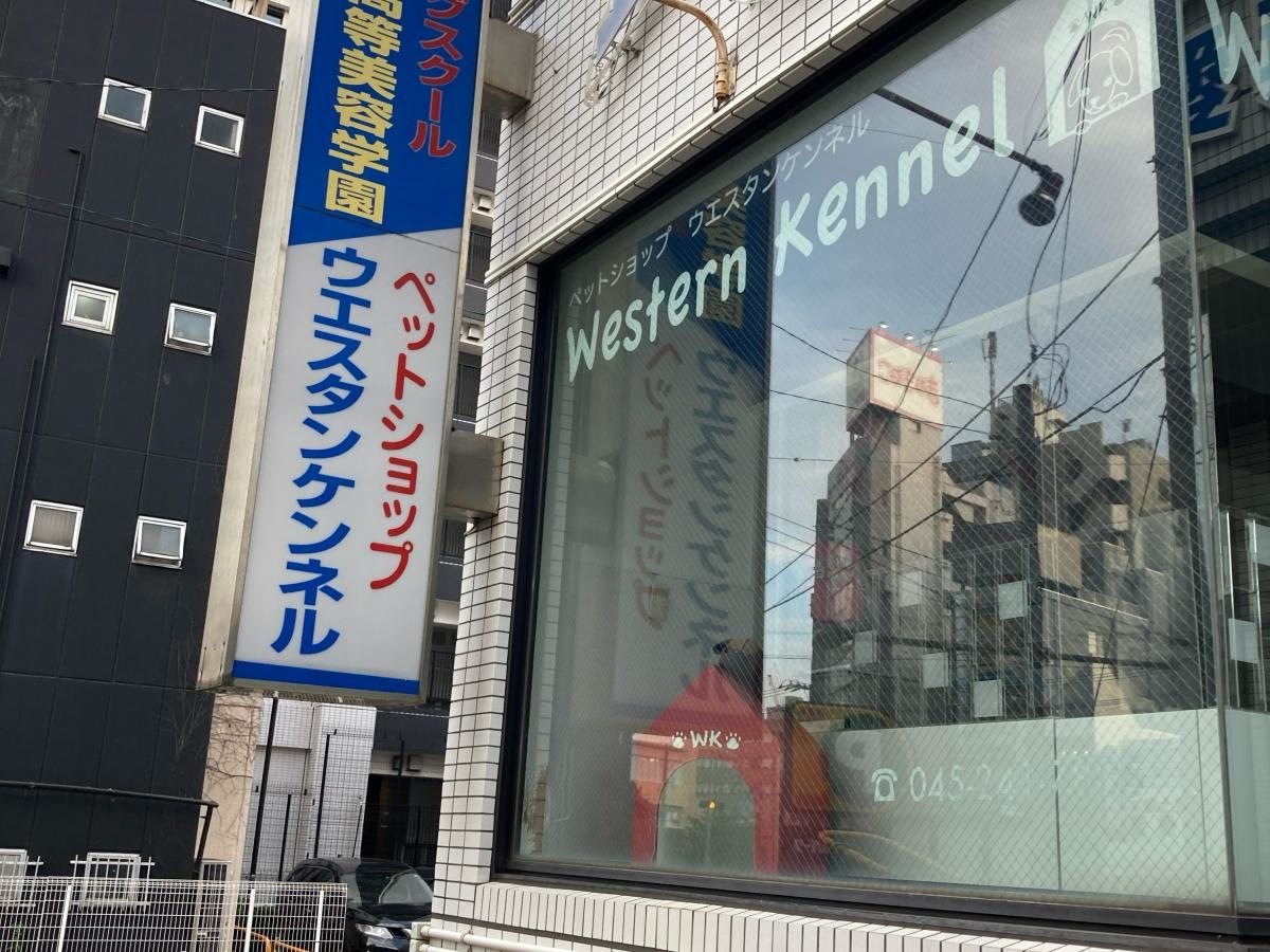 ウエスタンケンネルの施設外観です。